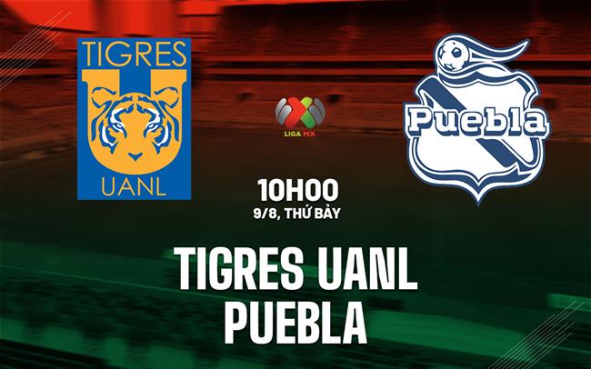 Nhận định bóng đá Tigres UANL vs Puebla 10h00 ngày 9/8 (VĐQG Mexico 2025/26)
