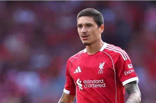 Arsenal và MU bị chỉ trích vì bỏ qua Darwin Nunez. Arsenal va MU bi chi trich vi bo qua Darwin Nunez.