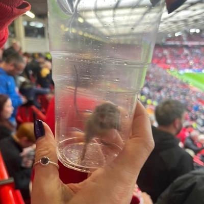 Điểm tin bóng đá tối 610 Jack Grealish bị loại khỏi ĐT Anh 2 Điểm tin bóng đá tối 610 Jack Grealish bị loại khỏi ĐT Anh 2