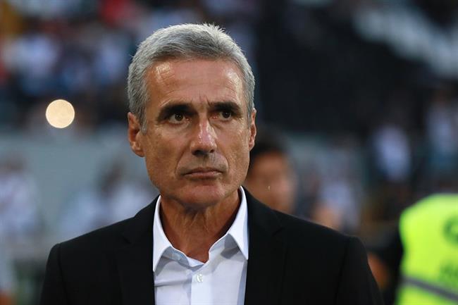 Thông tin tiểu sử HLV Luis Castro