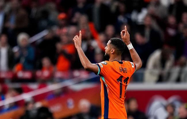 Cơn lốc Cody Gakpo