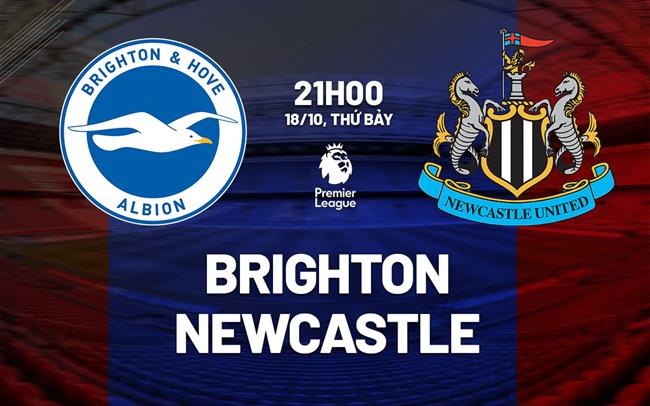 Nhận định Brighton vs Newcastle (21h00 ngày 18/10): Khó lường