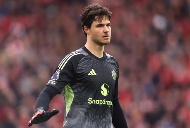 Senne Lammens Senne Lammens