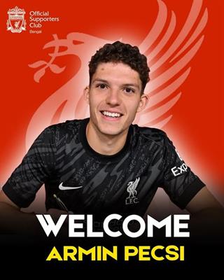 Armin Pecsi