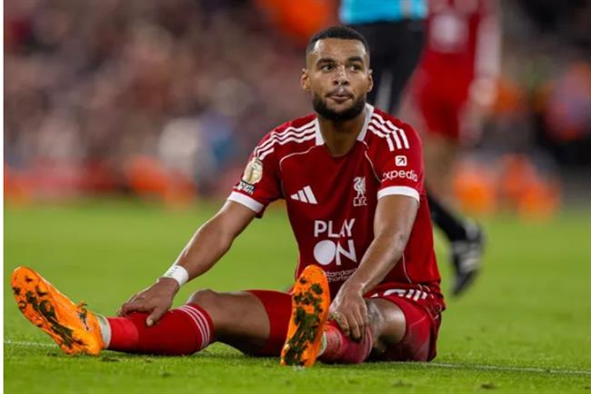 Nhận định Liverpool vs Brighton (22h00 ngày 1312) Khó lường 1