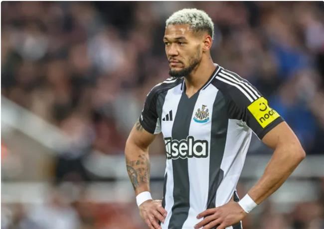 Nhận định Sunderland vs Newcastle (21h00 ngày 1412) Không dễ cho Chích chòe 2 Nhận định Sunderland vs Newcastle (21h00 ngày 1412) Không dễ cho Chích chòe 2