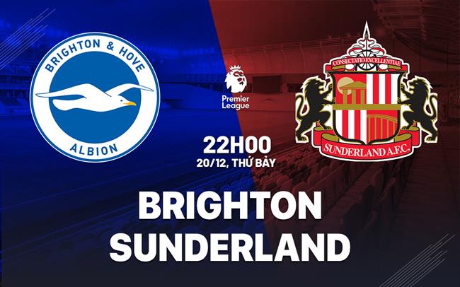 nhan dinh bong da du doan Brighton vs Sunderland ngoai hang anh premier league hom nay nhan dinh bong da du doan Brighton vs Sunderland ngoai hang anh premier league hom nay