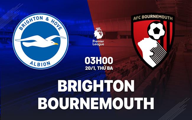 Nhận định Brighton vs Bournemouth (3h00 ngày 20/1): Lợi thế sân nhà