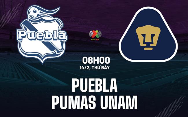 Nhận định bóng đá Puebla vs Pumas UNAM 8h00 ngày 14/2 (VĐQG Mexico 2025/26)