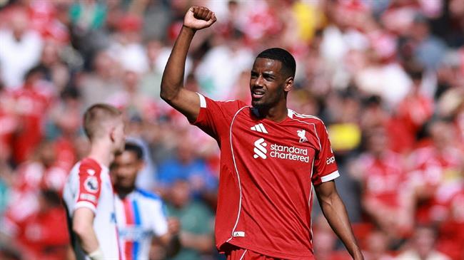 Van Dijk tin tưởng Isak sẽ thành công tại Liverpool