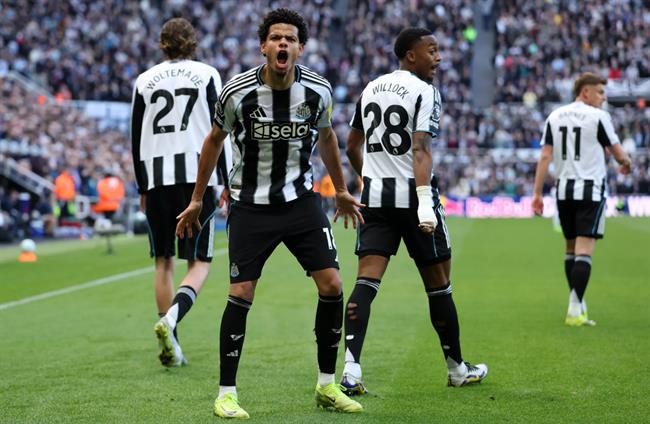 Nhận định Fulham vs Newcastle (22h00 ngày 245) Chờ một trận cầu hấp dẫn 2 Nhận định Fulham vs Newcastle (22h00 ngày 245) Chờ một trận cầu hấp dẫn 2