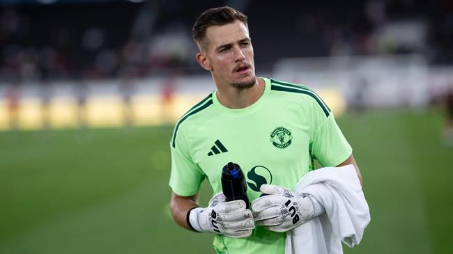Radek Vitek Radek Vitek