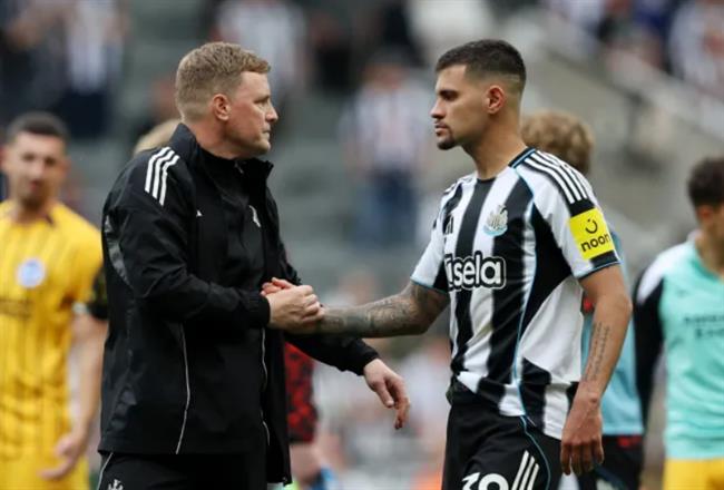 Nhận định Everton vs Newcastle (23h15 ngày 128) Chích chòe hưng phấn 1 Nhận định Everton vs Newcastle (23h15 ngày 128) Chích chòe hưng phấn 1