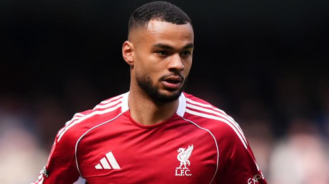Tottenham quan tâm tiền đạo Cody Gakpo của Liverpool