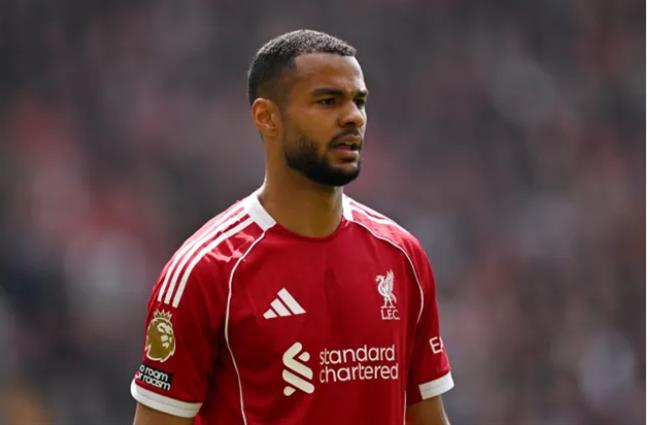 Tottenham nên chiêu mộ Cody Gakpo thay vì Nicolas Jackson