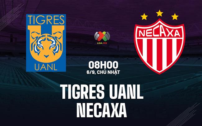 Nhận định bóng đá Tigres UANL vs Necaxa 8h00 ngày 6/9 (VĐQG Mexico 2026/27)