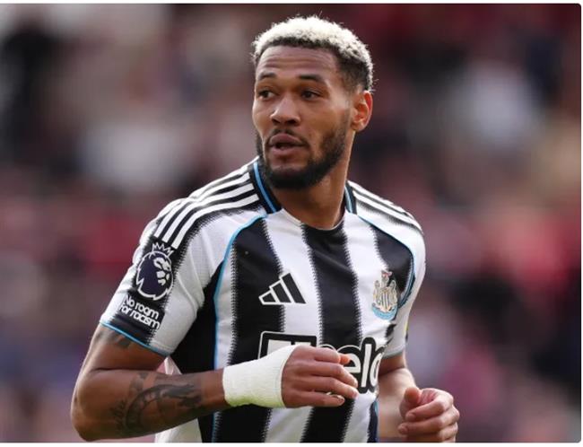 Nhận định Coventry vs Newcastle (2h00 ngày 1310) Chích chòe vượt khó 2