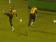 "Thần gác đền" gặp họa vì...mô đất