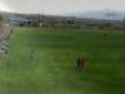 Trọng tài lao vào sân đánh .... cầu thủ