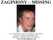 Một CĐV Ireland chết: Thất bại trên sân, tang tóc ngoài sân