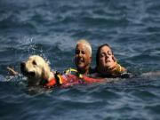 Chó nhà Totti nổi danh nhờ cứu người