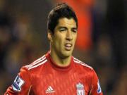 Liverpool lên kế hoạch trói chân Suarez