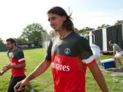 Ibrahimovic xuất sắc nhất lịch sử Ligue 1?