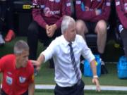 HLV Alan Pardew bị cấm chỉ đạo 2 trận