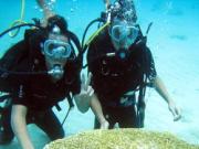 Khám phá đại dương – đam mê mới của cầu thủ Việt