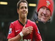 Chicharito quá hay, Sir Alex khó xử