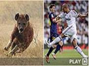 Truyền hình thân Barca ví Real như .... loài linh cẩu