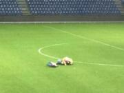 Cặp tình nhân Đan Mạch chiến đấu ngay giữa sân bóng