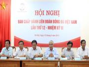 Đại hội VFF hoãn đến năm 2014