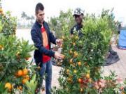 Ngoại binh V.League chơi ở đâu, ăn gì ngày Tết?