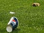 Theo Walcott: Sau cơn mưa đồng xu là án phạt?