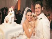 "Chú Vịt" Pato: Đường tình gian truân