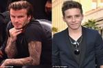 Cha con nhà Beckham bị tai nạn giao thông
