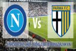 Video bàn thắng: Napoli 2-0 Parma (Vòng 16 Serie A)