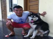 Mai Tiến Thành và đam mê nuôi cảnh khuyển