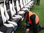 Fan cuồng ném .... cá vào khu chỉ đạo đối phương