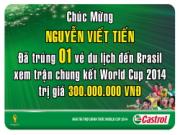 Khi giấc mơ tham dự VCK World Cup 2014 trở thành sự thật