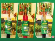 Cùng Castrol trải nghiệm World Cup cuồng nhiệt tại Rio của châu Á - Phuket