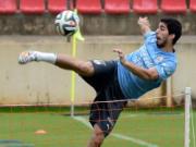 2h00 ngày 15/6, Uruguay - Costa Rica: Tìm lại ký ức Maracana