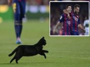 "Vị khách không mời" xông đất Nou Camp trong ngày mở màn mùa giải mới