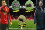 M.U quyết tiêu diệt "giặc chuột" tại thánh đường Old Trafford