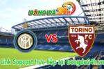 Link sopcast Inter vs Torino (21h00-25/01)