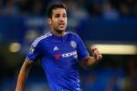 Fabregas tức giận vì bị nghi ngờ "làm phản"