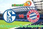 Link sopcast xem trực tiếp Schalke 04 vs Bayern Munich (00h30-22/11)