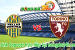 Link sopcast Verona vs Torino (00h00 ngày 08/02/2015)