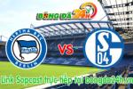 Link sopcastHertha Berlin vs Schalke 04 (21h30-14/03)